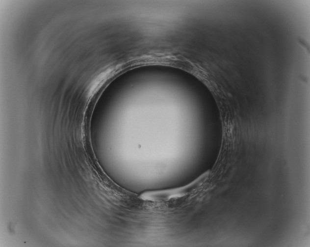 X0000100870340200806271118