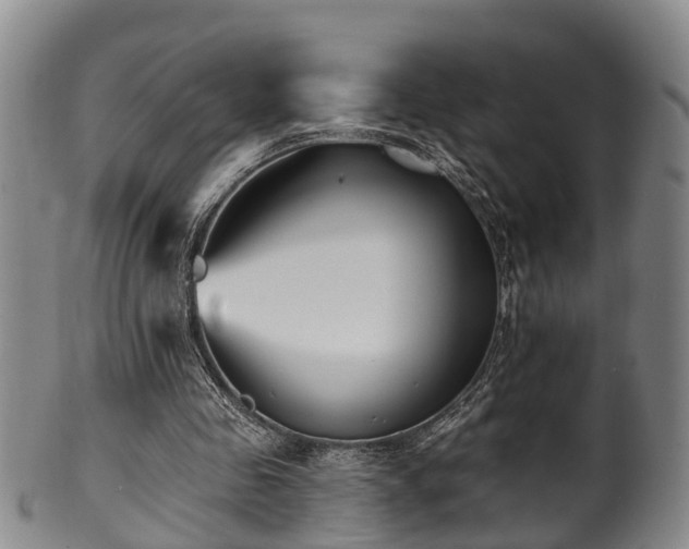 X0000100870341200806271118