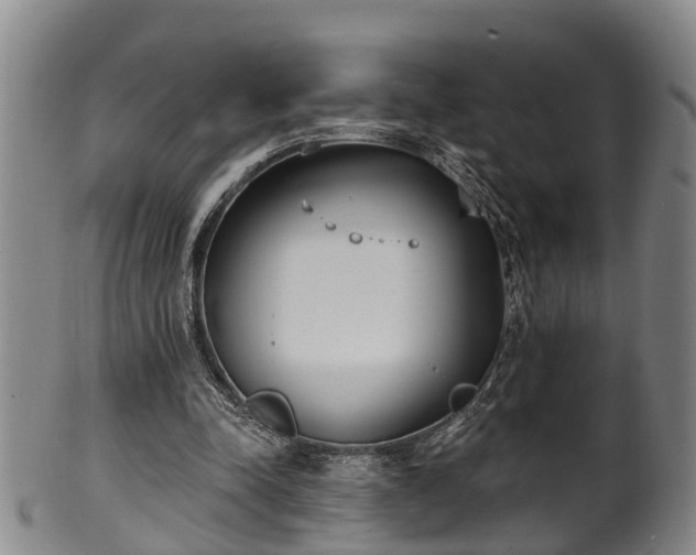 X0000100870342200806271118