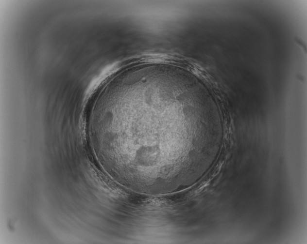 X0000100870343200806271118