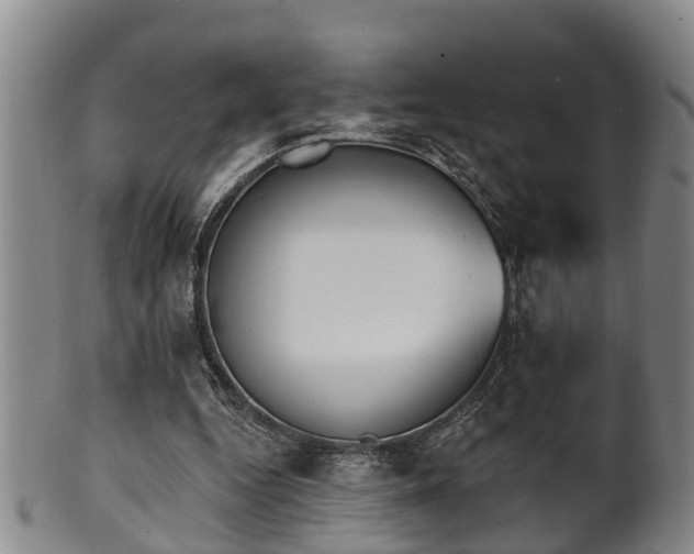 X0000100870344200806271118