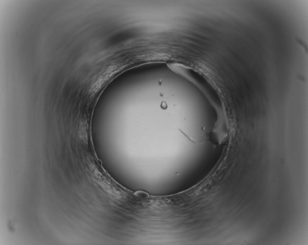 X0000100870345200806271118