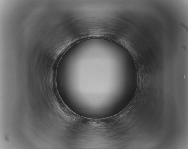 X0000100870346200806271118