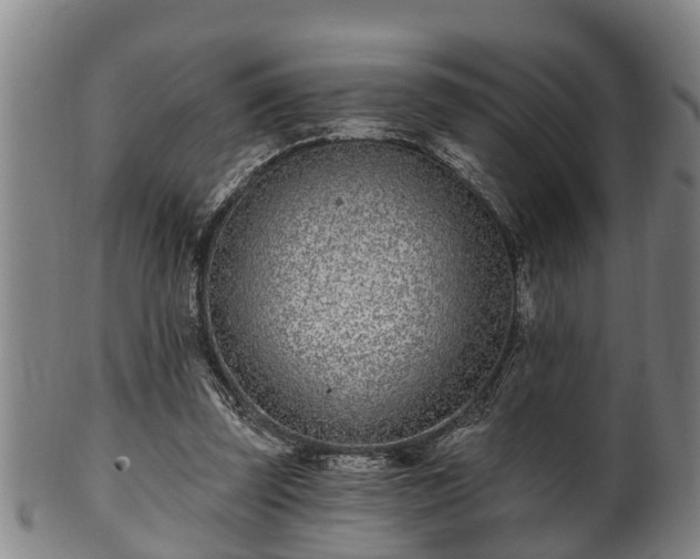 X0000100870347200806271118