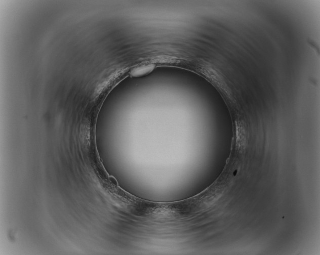 X0000100870348200806271118