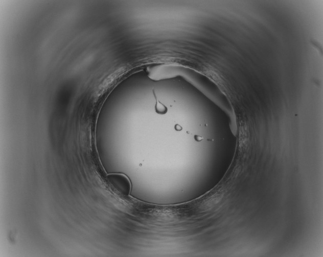 X0000100870349200806271118