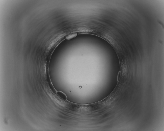 X0000100870350200806271118