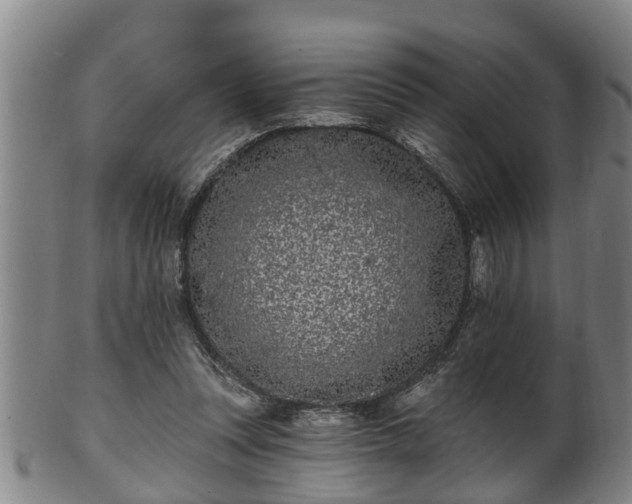 X0000100870351200806271118