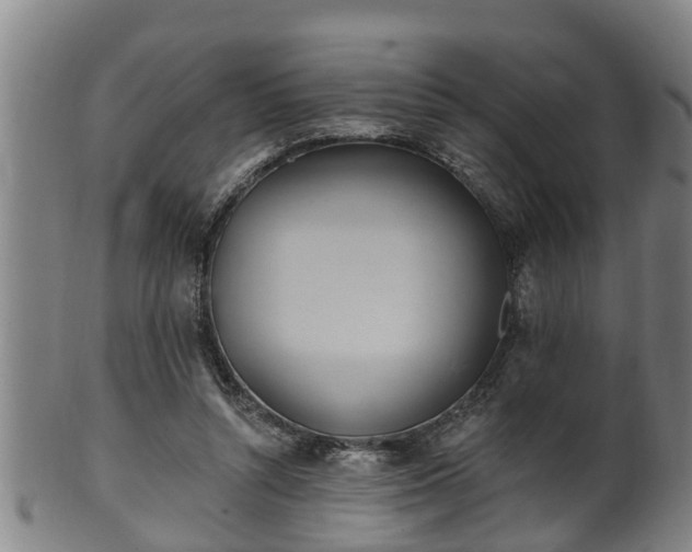 X0000100870352200806271118