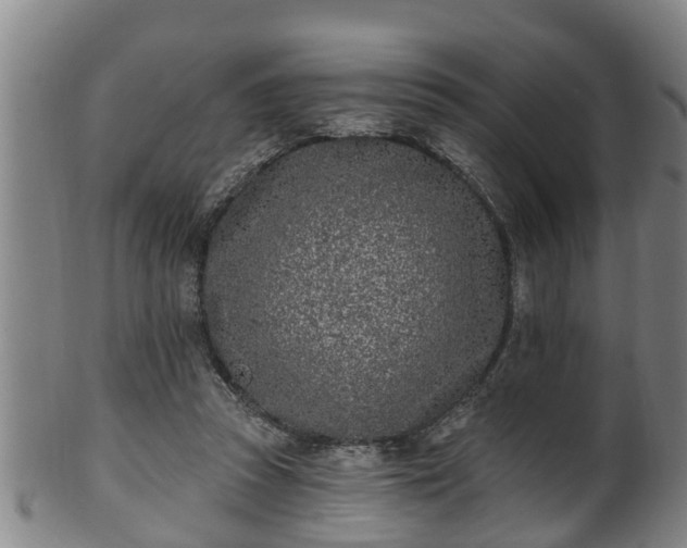 X0000100870353200806271118