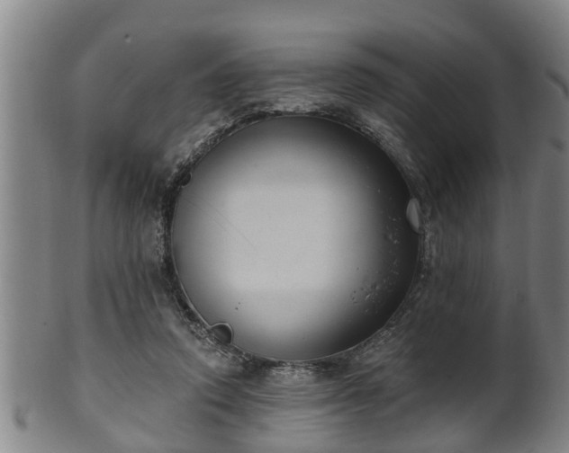 X0000100870354200806271118