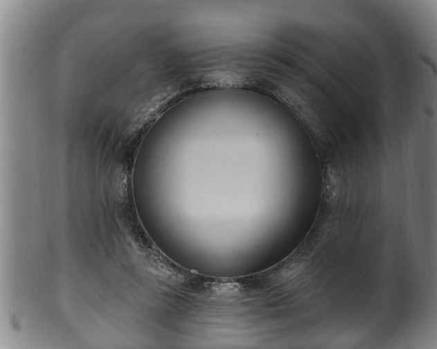 X0000100870355200806271118