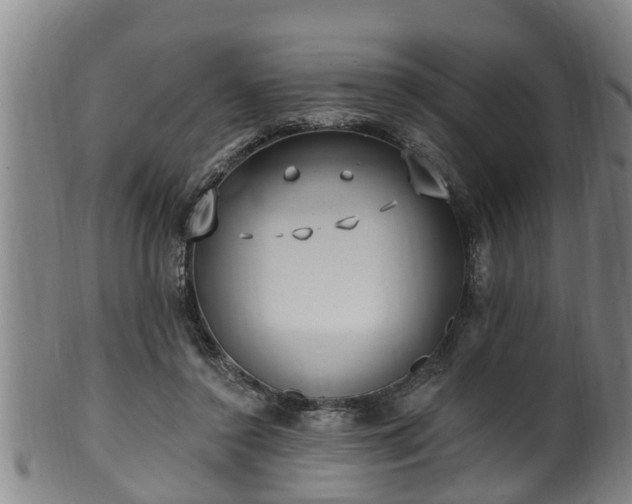 X0000100870356200806271118