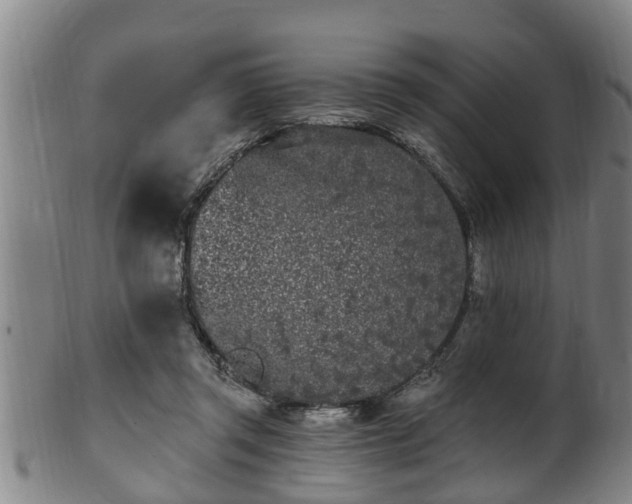 X0000100870357200806271118