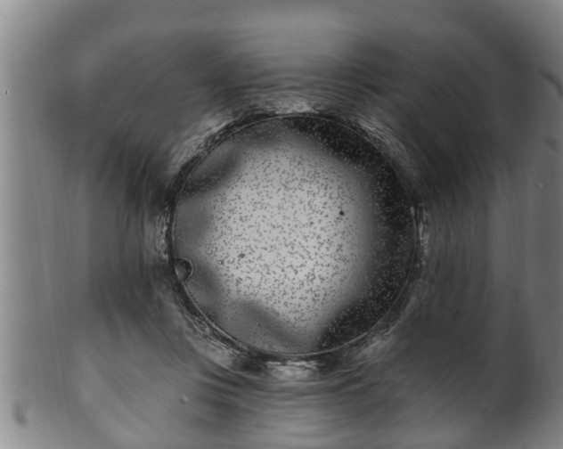 X0000100870359200806271118