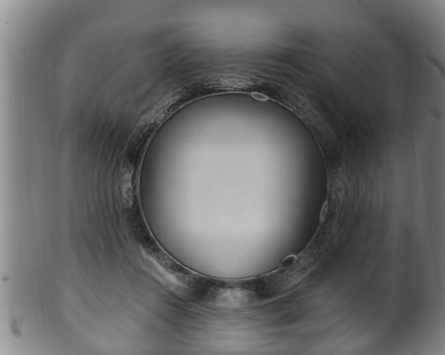 X0000100870360200806271118