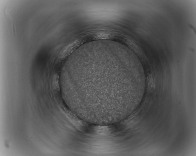 X0000100870361200806271118