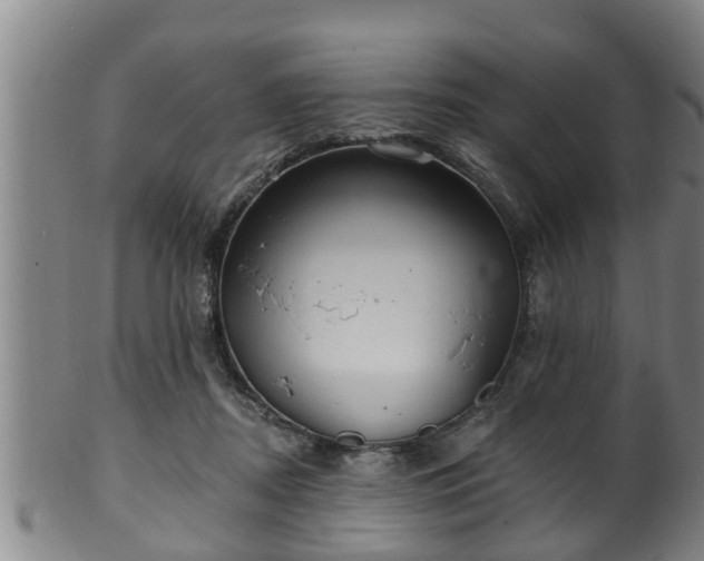 X0000100870362200806271118