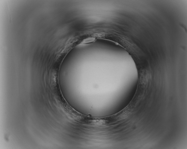 X0000100870363200806271118