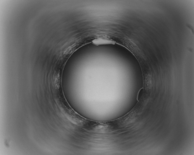 X0000100870364200806271118