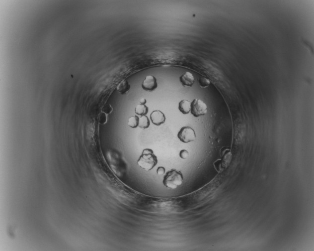 X0000100870365200806271118