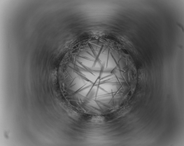 X0000100870369200806271119