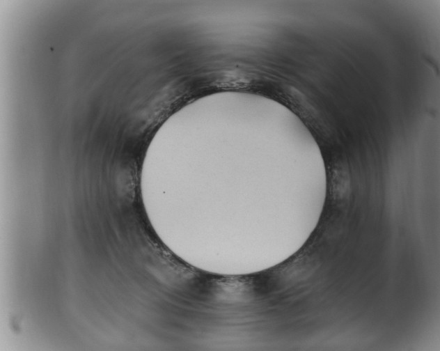 X0000100870370200806271119