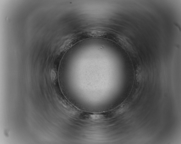 X0000100870371200806271119