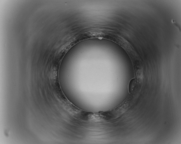 X0000100870372200806271119