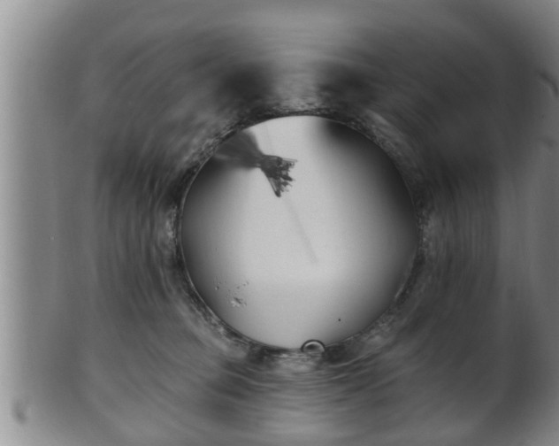 X0000100870373200806271119