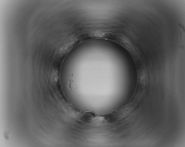 X0000100870374200806271119