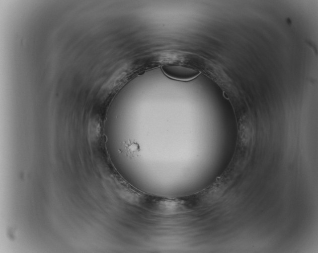 X0000100870375200806271119