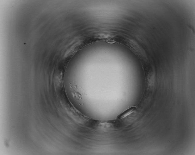 X0000100870376200806271119