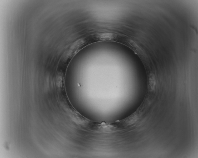 X0000100870379200806271119