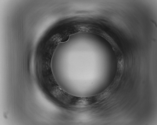 X0000100870381200806271119