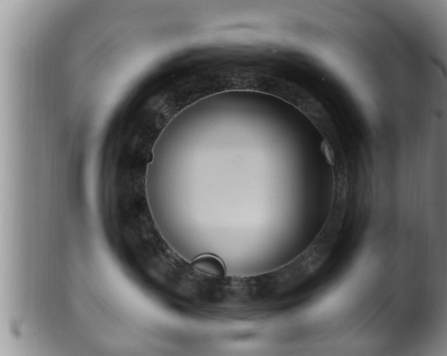 X0000100870383200806271119