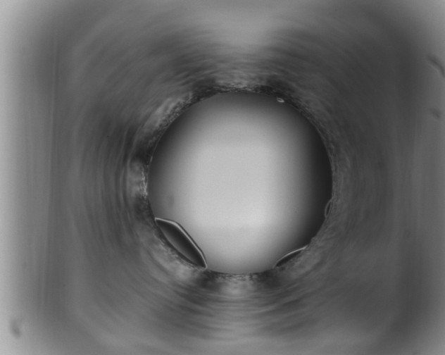 X0000100870384200806271119