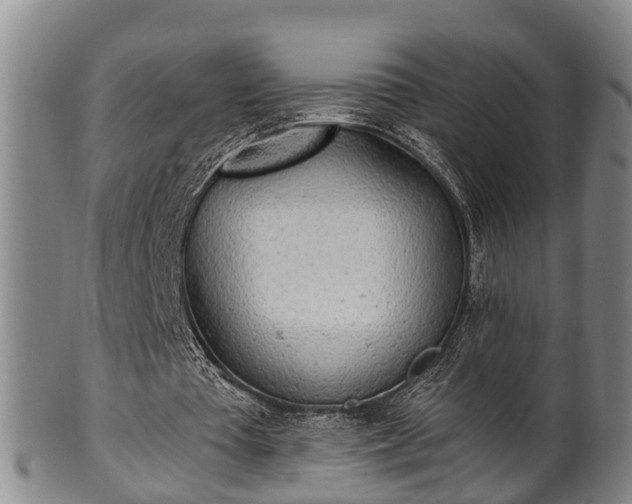 X0000100870385200806271118