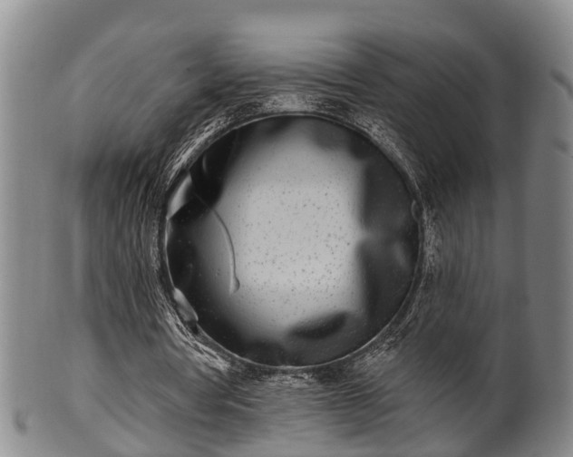 X0000100870386200806271118