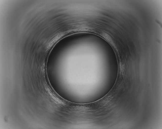 X0000100870389200806271118