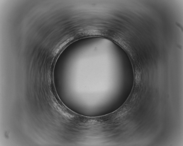 X0000100870390200806271118