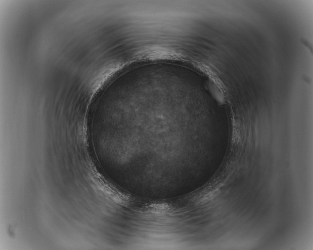 X0000100870391200806271118