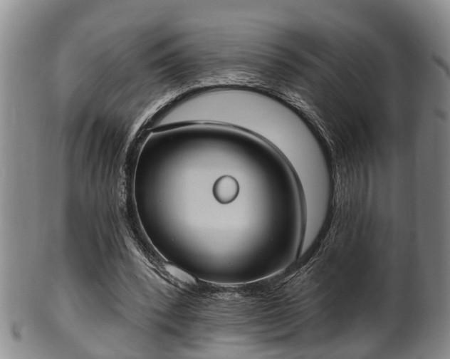 X0000100870392200806271118