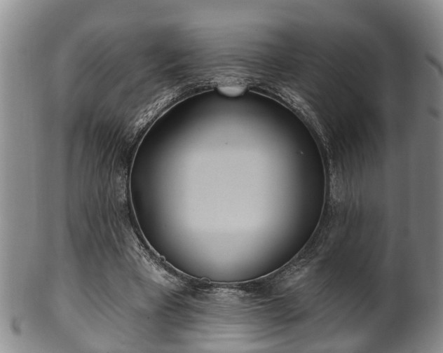 X0000100870393200806271118