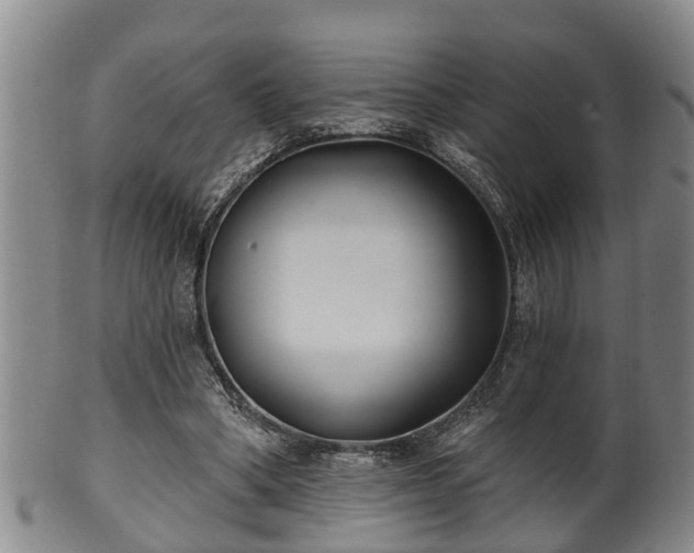 X0000100870394200806271118