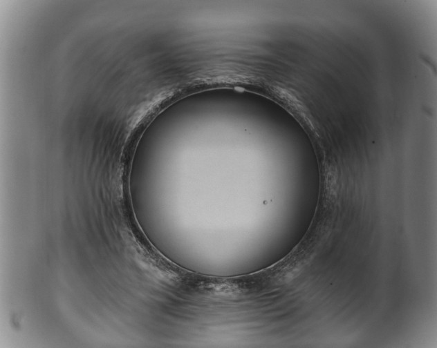 X0000100870395200806271118