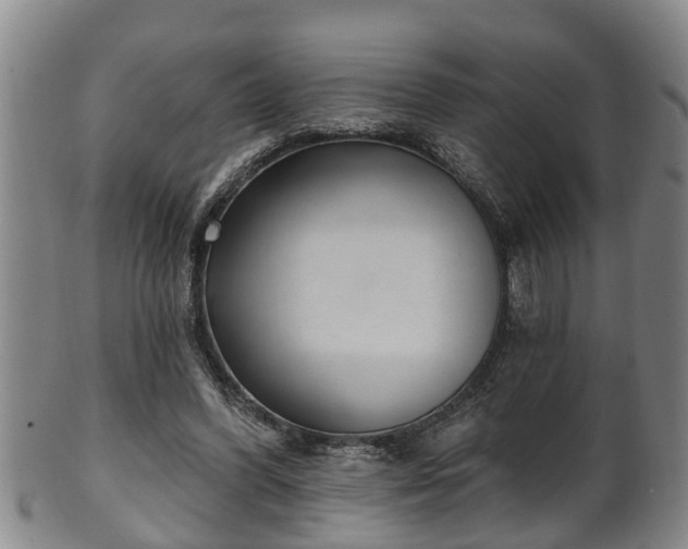 X0000100870396200806271118