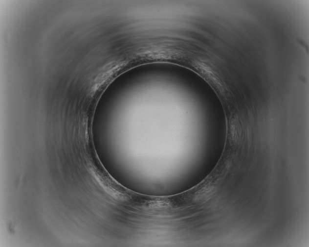 X0000100870398200806271118