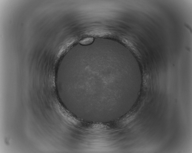 X0000100870399200806271118