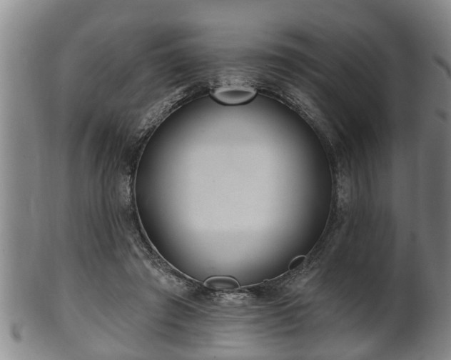 X0000100870401200806271118